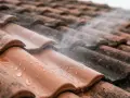 Jet d'eau sur des tuiles de toit, certaines propres, d'autres sales. Faut-il imperméabiliser les tuiles pour éviter cela ?