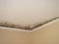 Coins de mur et plafond d'une salle de bain envahis par la moisissure, signe d'une humidité excessive.