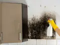Main d'une personne portant un gant jaune pulvérisant un produit sur un mur couvert de moisissure noire. Action pour nettoyer humidité mur.