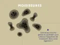 Illustration de taches de moisissures. Le texte demande : "Connaissez-vous les gestes du quotidien pour prévenir l'apparition de moisissures dans votre logement ?