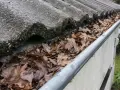 Gouttière remplie de feuilles mortes, nécessitant un nettoyage pour **déboucher la gouttière** et assurer un bon écoulement.