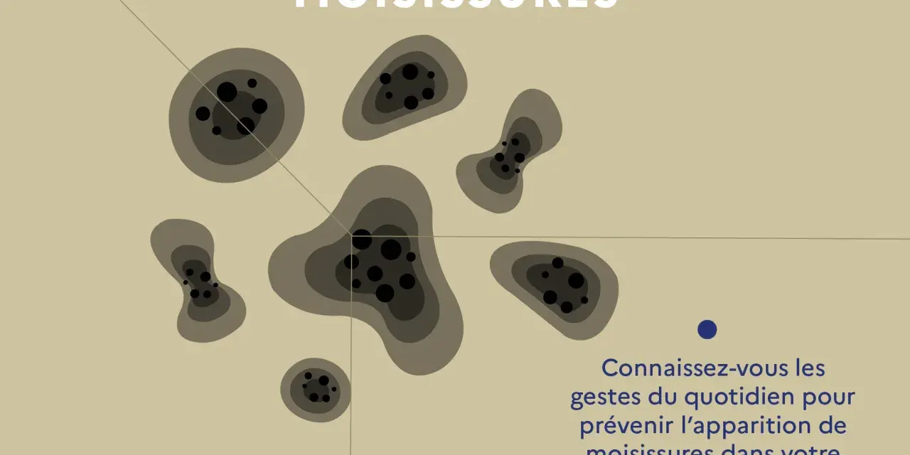 Illustration de taches de moisissures. Le texte demande : "Connaissez-vous les gestes du quotidien pour prévenir l'apparition de moisissures dans votre logement ?