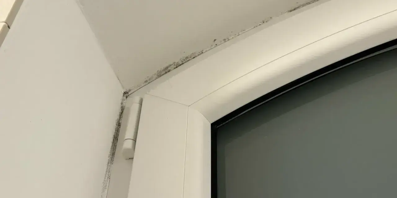 Moisissure noire le long du cadre d'une fenêtre, signe d'un pont thermique.