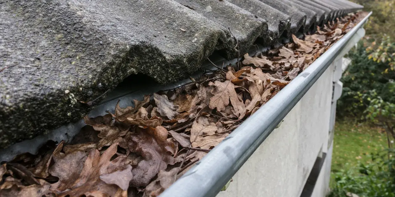 Gouttière remplie de feuilles mortes, nécessitant un nettoyage pour **déboucher la gouttière** et assurer un bon écoulement.