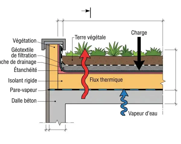 Coupe d'une toiture végétalisée montrant l'isolation par l'extérieur en polyuréthane, le drainage, l'étanchéité et la protection contre la vapeur.