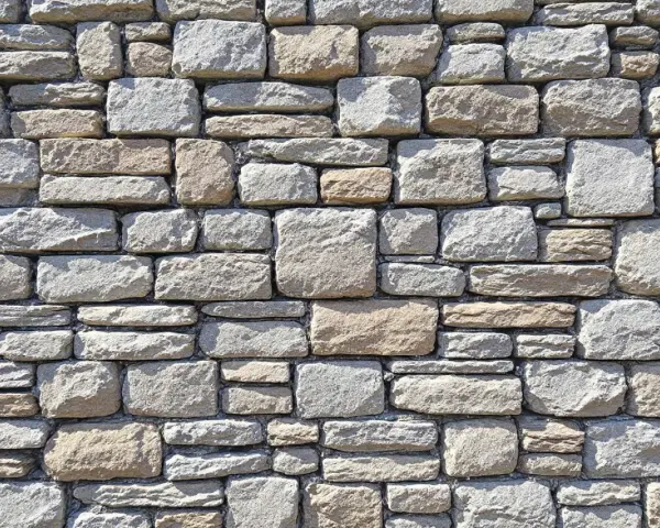 Un mur de pierres irrégulières, un joint solide et rustique qui raconte une histoire de temps et de nature.