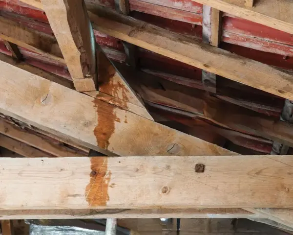 Traces d'humidité sur les poutres de charpente, indiquant une fuite à réparer sur la toiture.