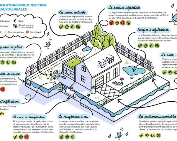 Illustration des solutions pour l'évacuation eau de pluie dans le jardin : jardin de pluie, tranchée drainante, puits d'infiltration, noue, toiture végétalisée.
