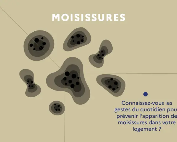 Illustration de taches de moisissures. Le texte demande : "Connaissez-vous les gestes du quotidien pour prévenir l'apparition de moisissures dans votre logement ?