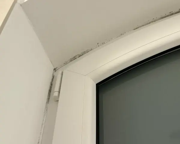 Moisissure noire le long du cadre d'une fenêtre, signe d'un pont thermique.