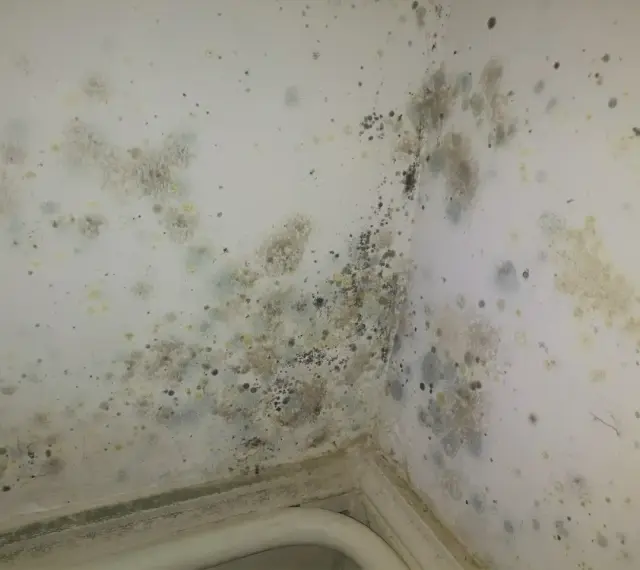 Coins de mur de chambre envahis par la moisissure, nécessitant un nettoyage pour enlever moisissure mur chambre.