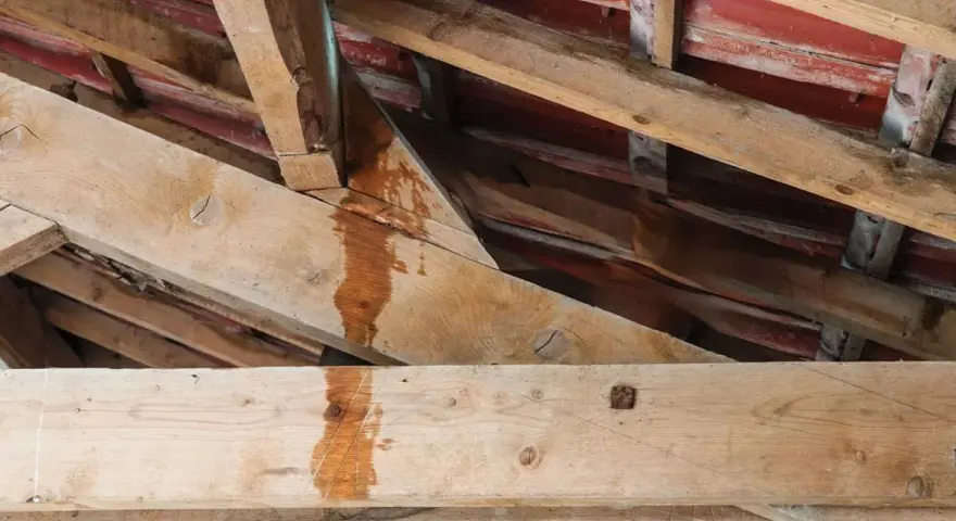 Traces d'humidité sur les poutres de charpente, indiquant une fuite à réparer sur la toiture.