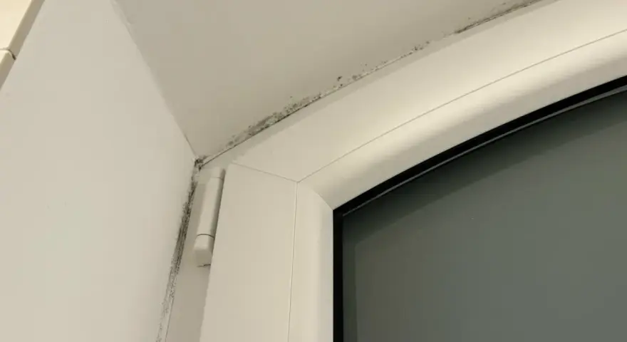 Moisissure noire le long du cadre d'une fenêtre, signe d'un pont thermique.