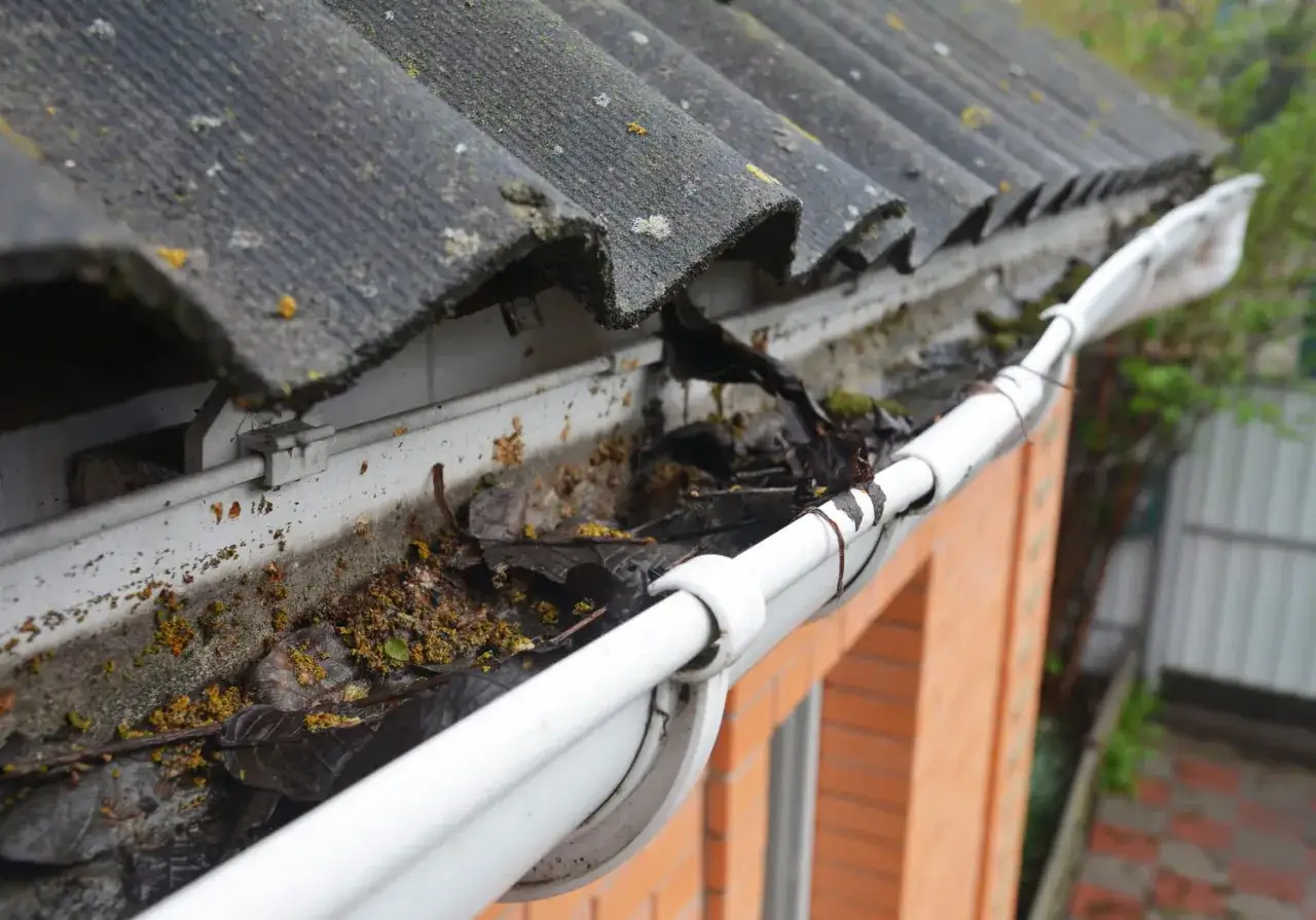 Gouttière obstruée par des feuilles mortes et des débris, nécessitant un nettoyage pour déboucher la gouttière.