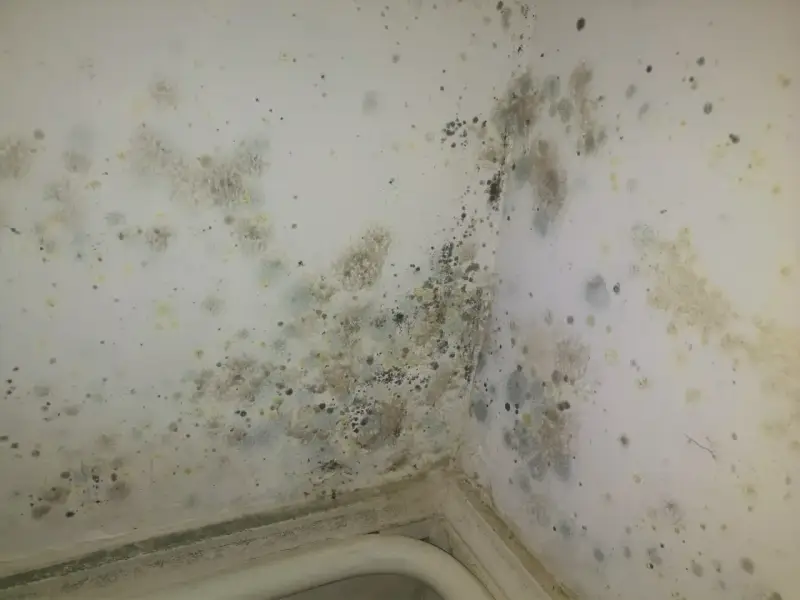 Coins de mur de chambre envahis par la moisissure, nécessitant un nettoyage pour enlever moisissure mur chambre.